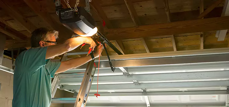 Garage Door Opener Sales and Installation Apple Valley
